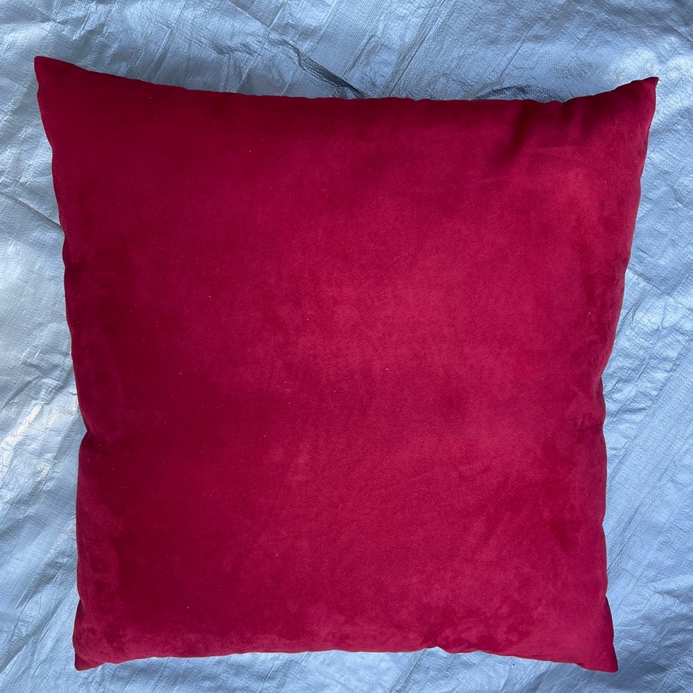 Target Red Accent Pillow